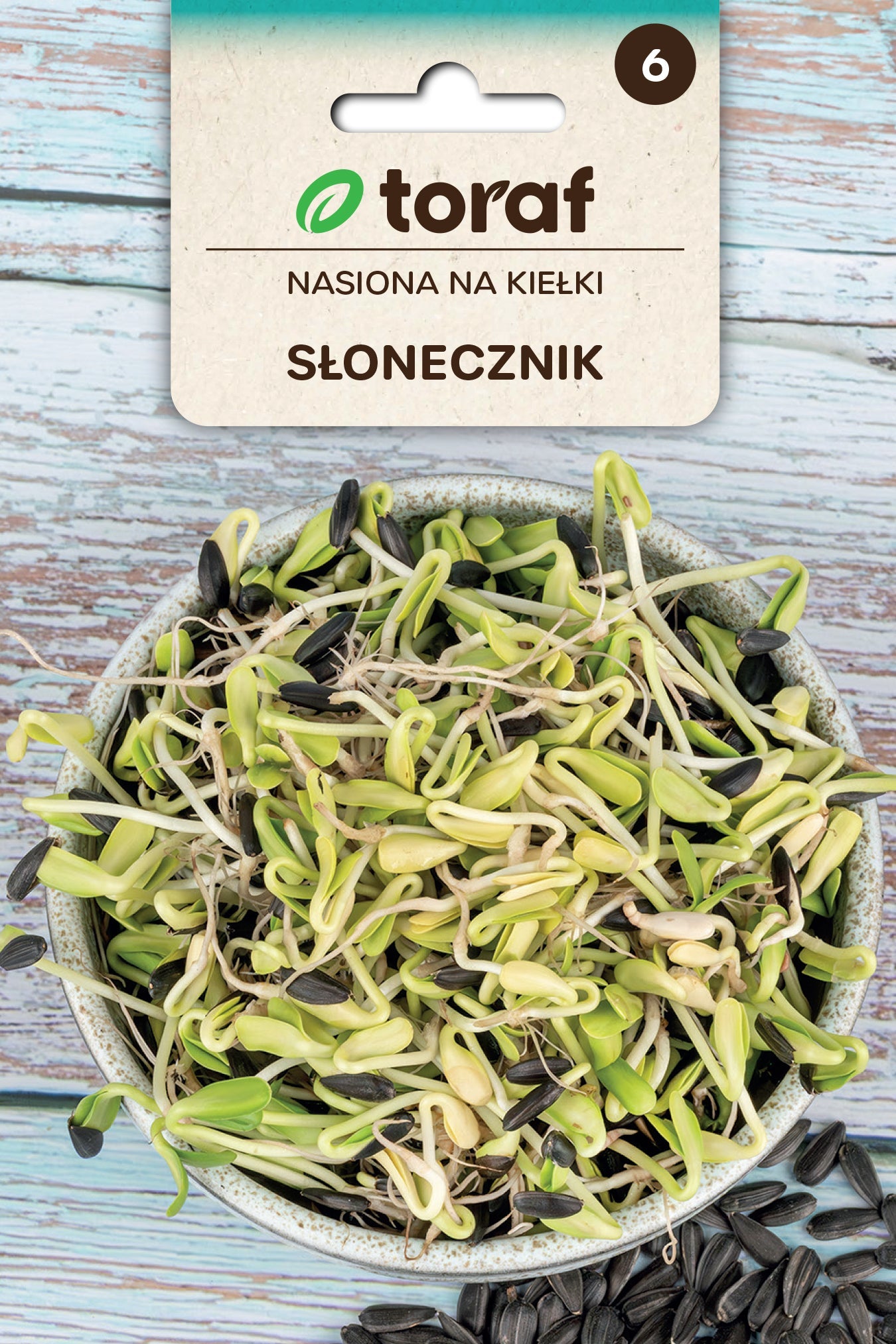 Nasiona- Kiełki