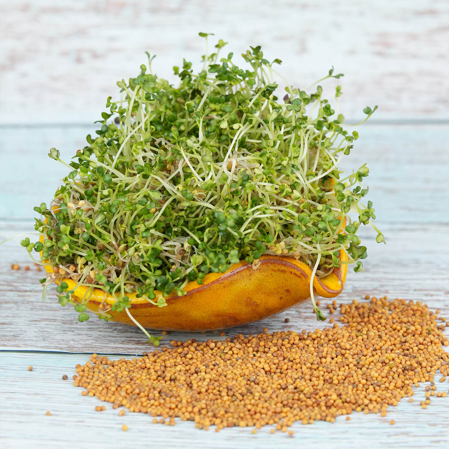 Nasiona na kiełki – Gorczyca sarepska 30g