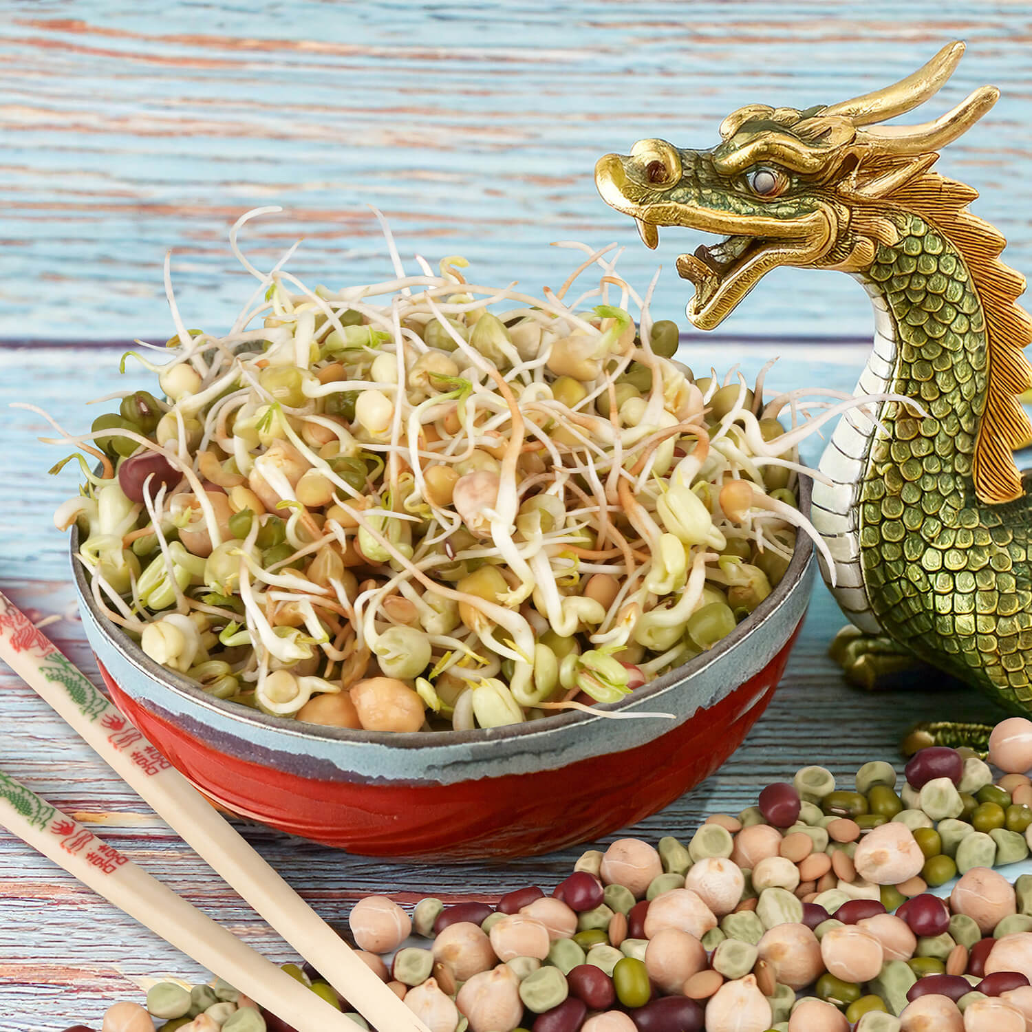 Nasiona na kiełki – Mieszanka chińska 40g