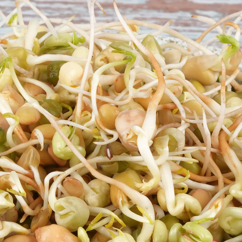 Nasiona na kiełki – Mieszanka chińska 40g