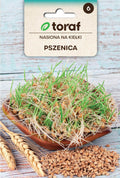 Nasiona na kiełki – Pszenica 50g