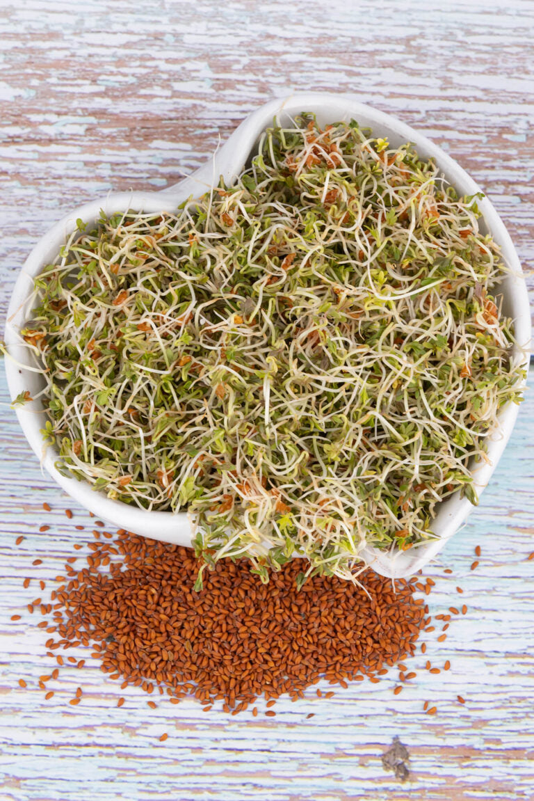 Nasiona na kiełki – Kosmiczna Rzeżucha 30g