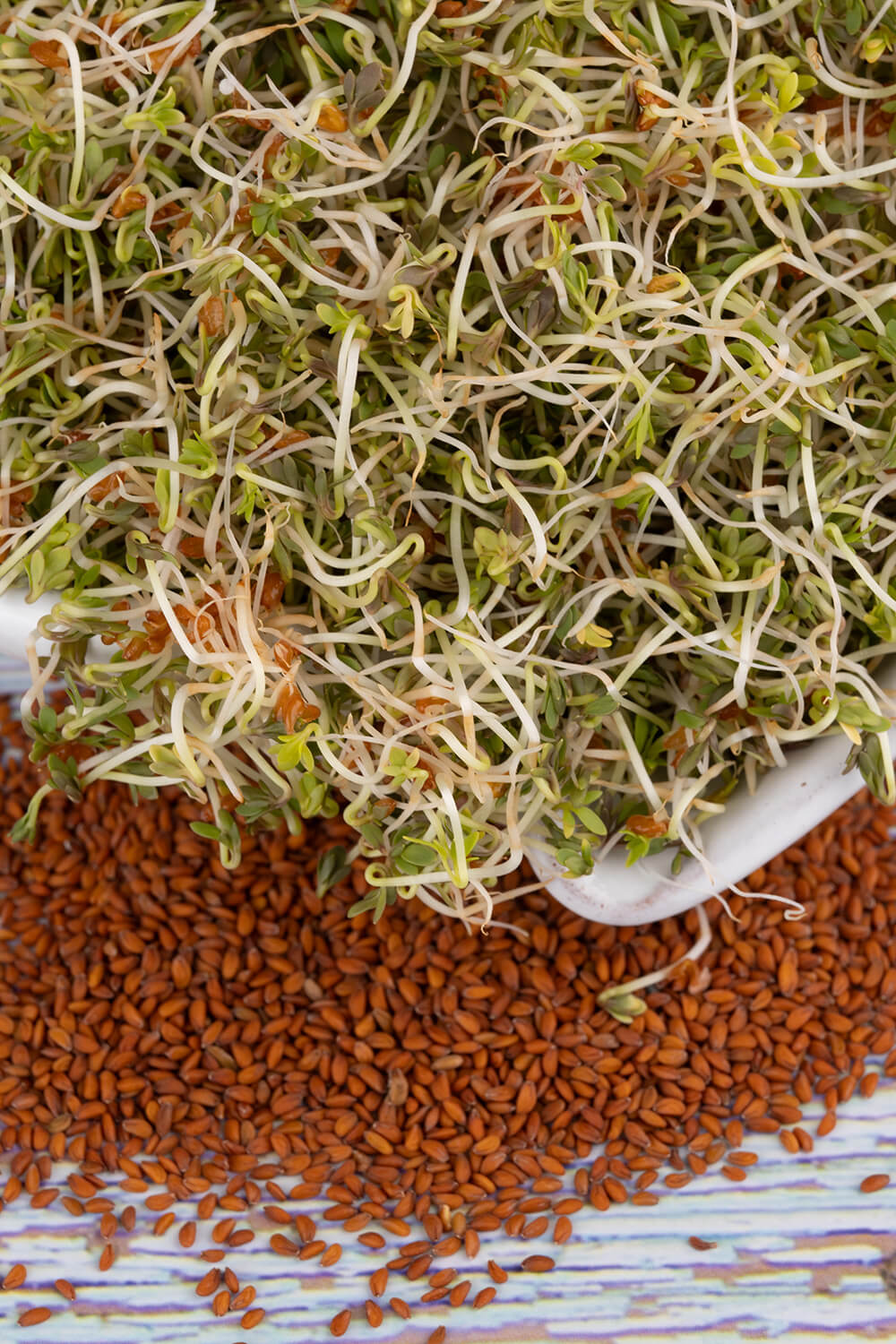 Nasiona na kiełki – Kosmiczna Rzeżucha 30g