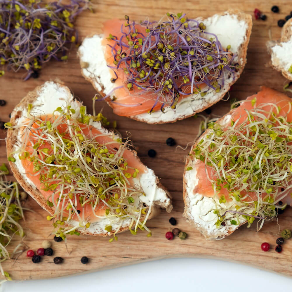 Kiełkownica słoikowa TORAF