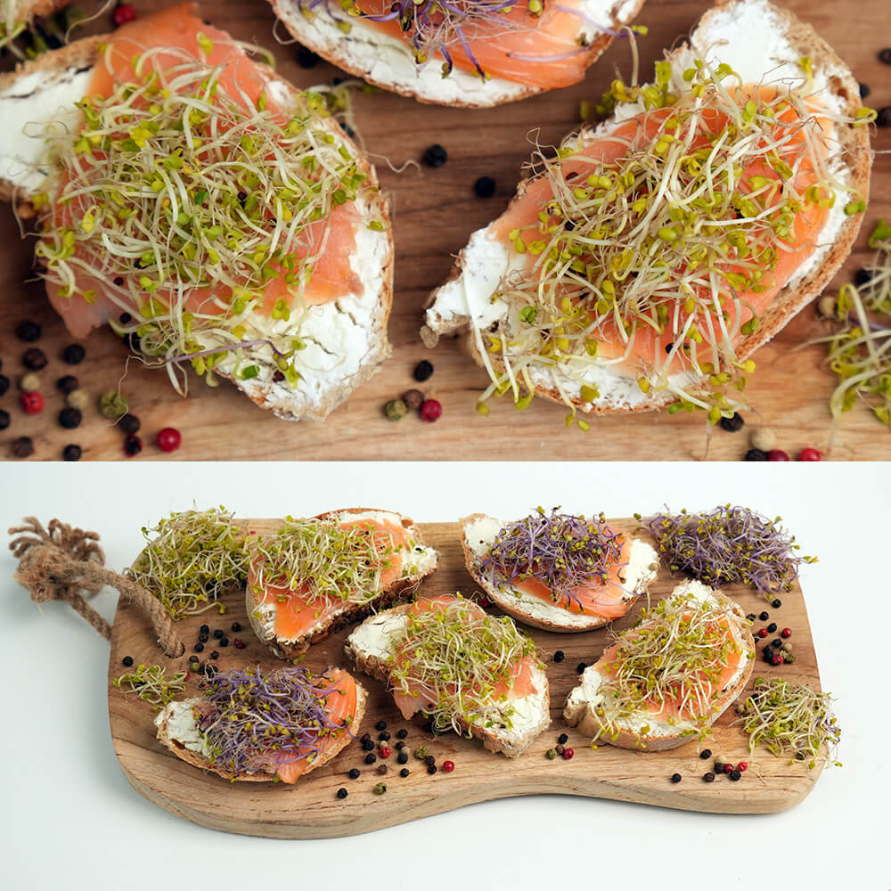 Kiełkownica słoikowa TORAF