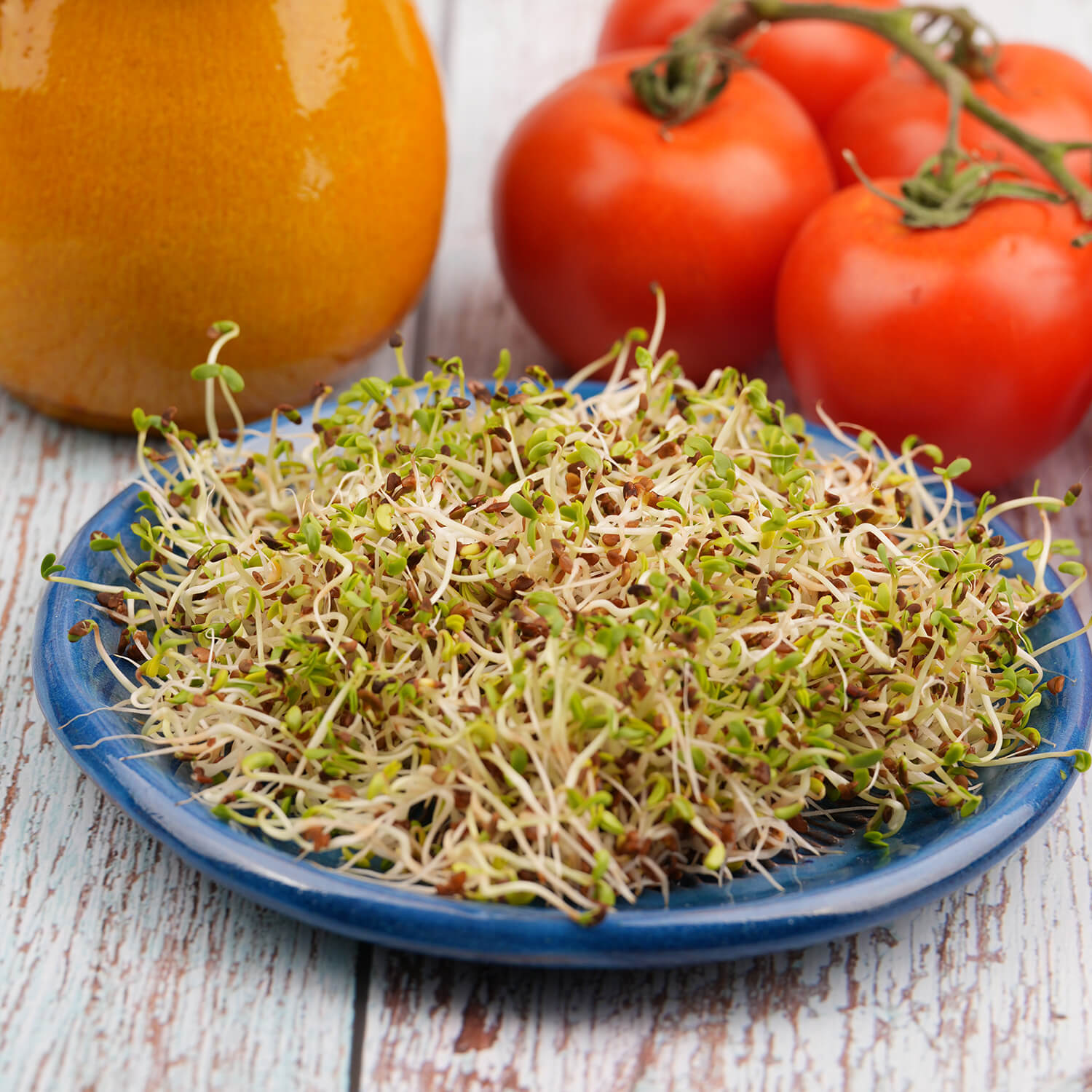 Kiełkownica trzypoziomowa – TORAF