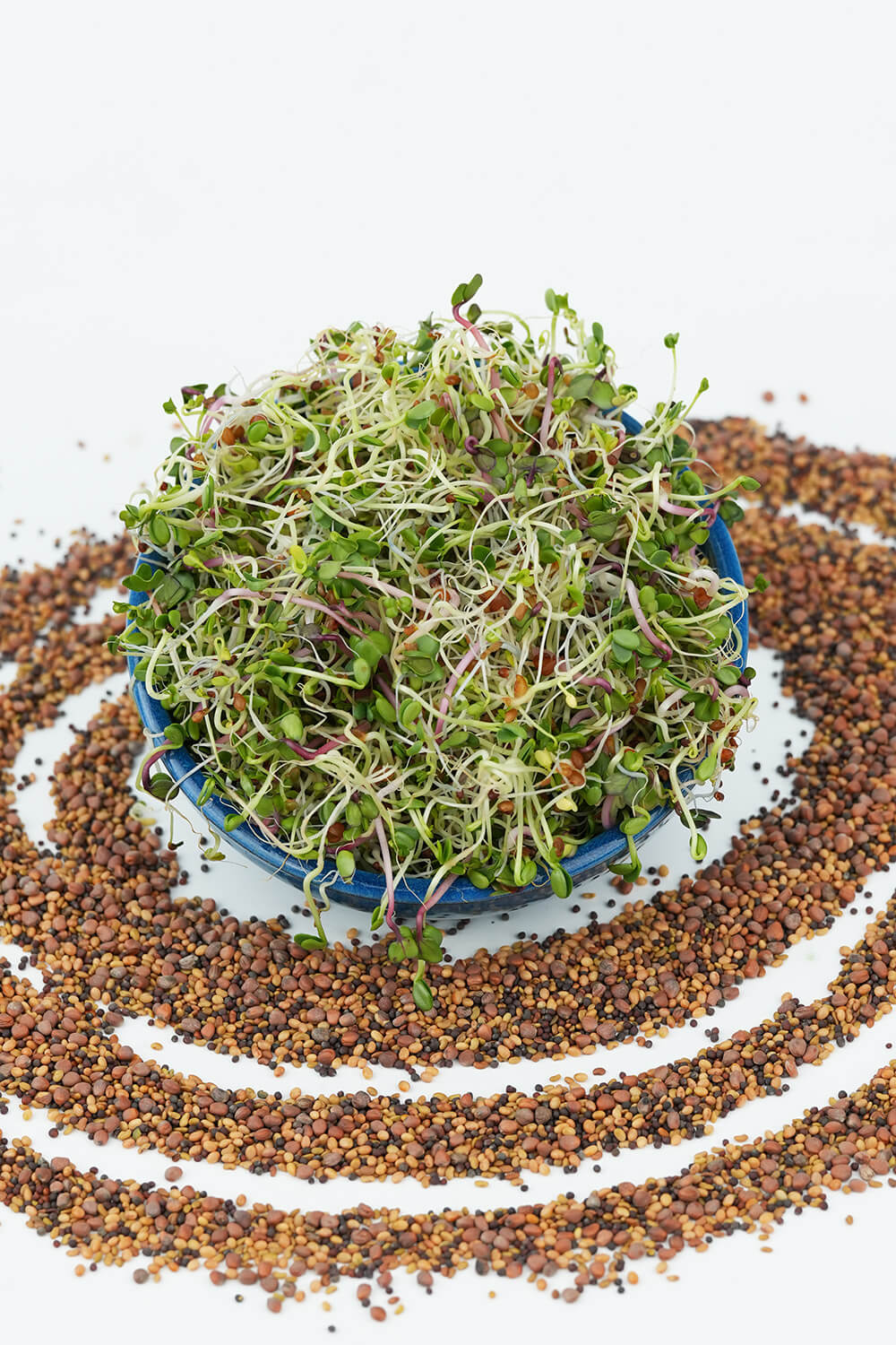 Nasiona na kiełki – Mieszanka Kosmiczna 20g