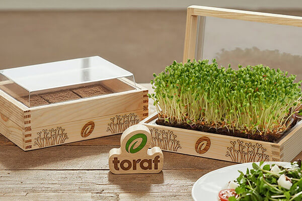 YE!greens zerstaw do uprawy microgreens